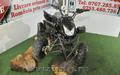 AnaLuk MotorS Srl Vinde ATV Sport Quad 125 