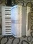 hohner 80 basi in vergele alb sidef