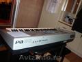 Vand Korg Pa 50