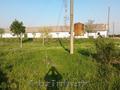 vand teren 50.000 mp, intravilan,  cu hala de depozitare de 800 mp