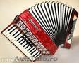 Acordeon weltmeister serino 