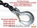 Carlig Clevis cu siguranta grad 100 Platinium